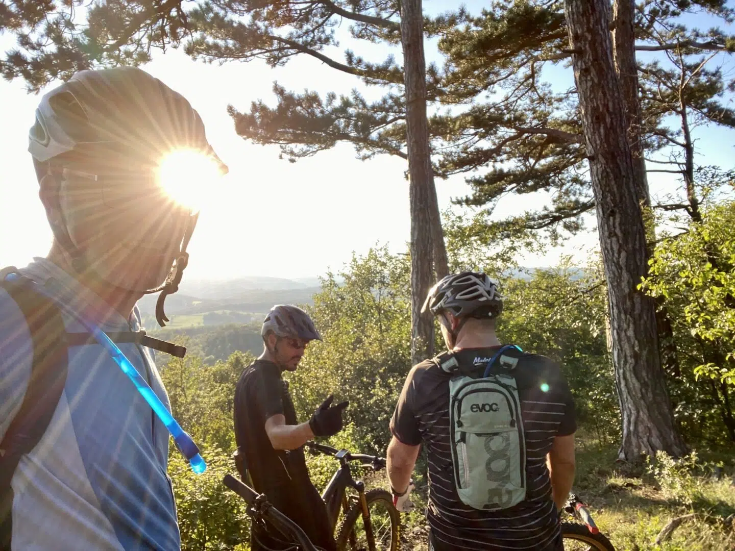 Biken im Wienerwald bei Sparbach
