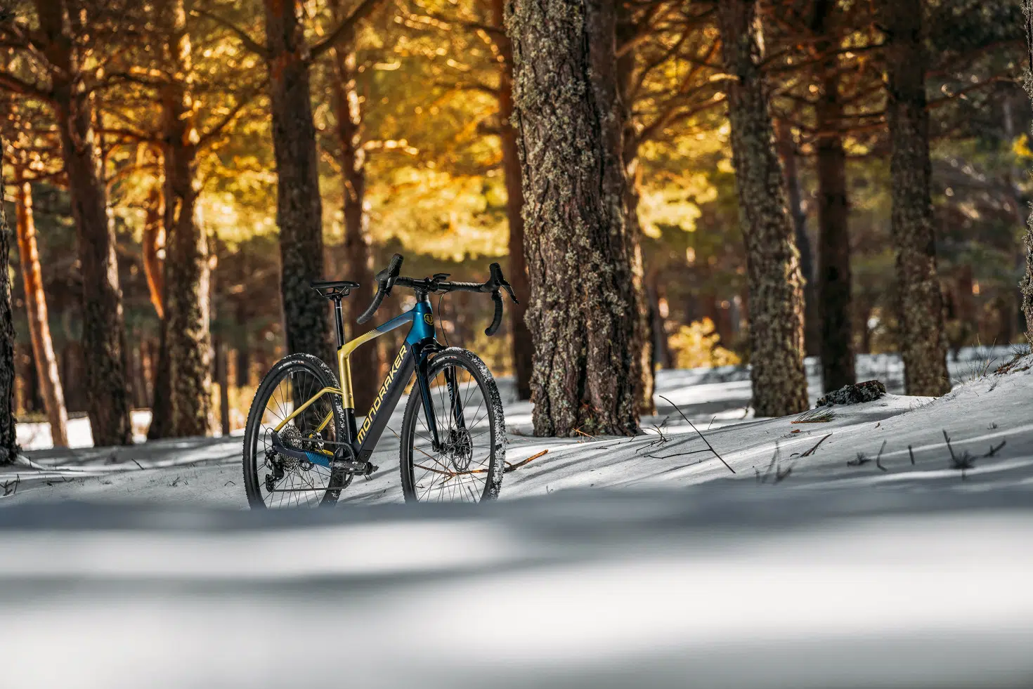 Mondraker Dusty R Gravel eBike mit Mahle X20 Motor