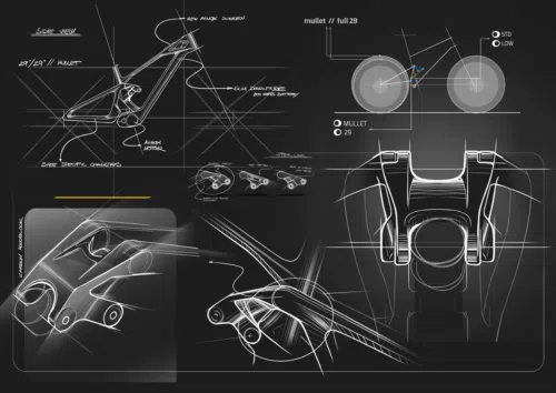 Mondraker Zendit mit Avinox 